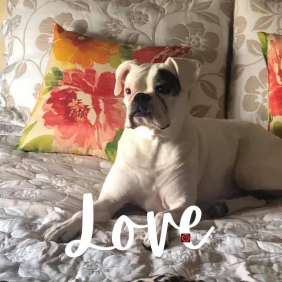 Meet your Posher, Michael - Picture 1 of 1